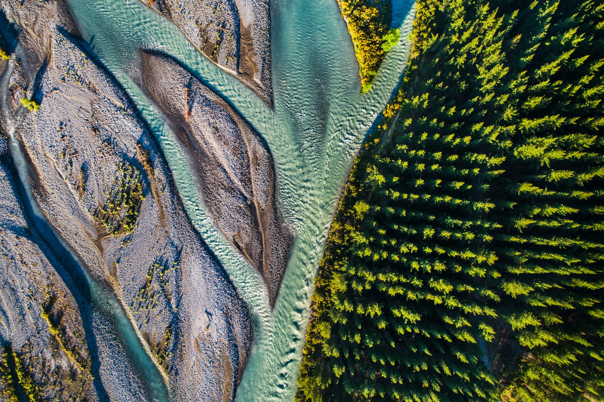 Nature is good for business – and we now have numbers to show it