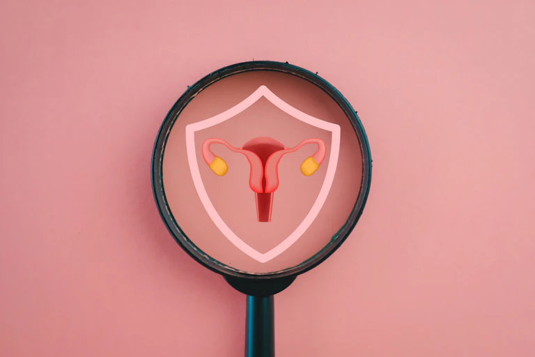 A magnifying glass showing a close-up depiction of the female reproductive organs.