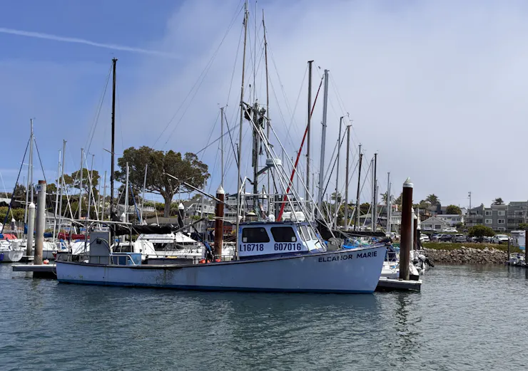 Fishing boats in a harbor