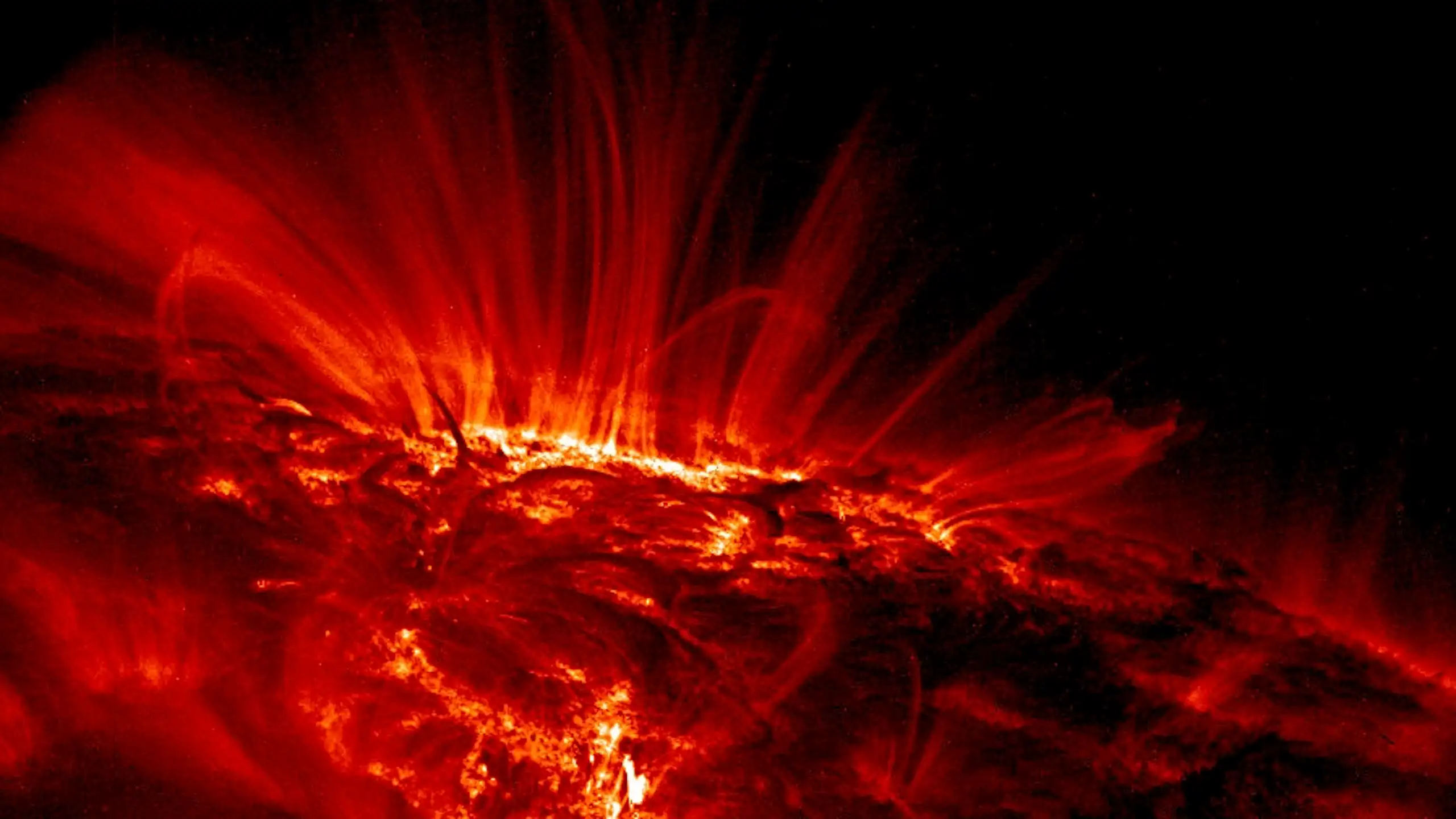 imagen de la superficie del Sol con eyecciones de la magnetosfera