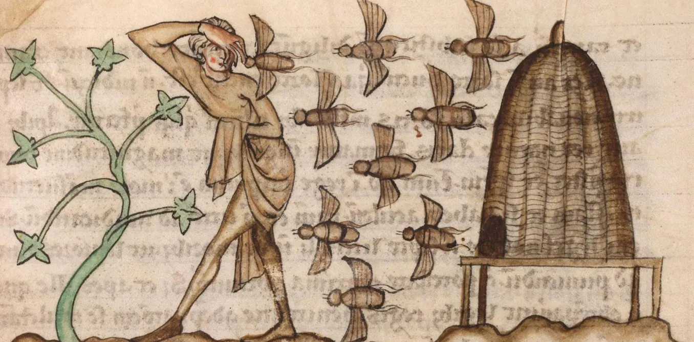 Why early medieval Ireland had laws for bees
