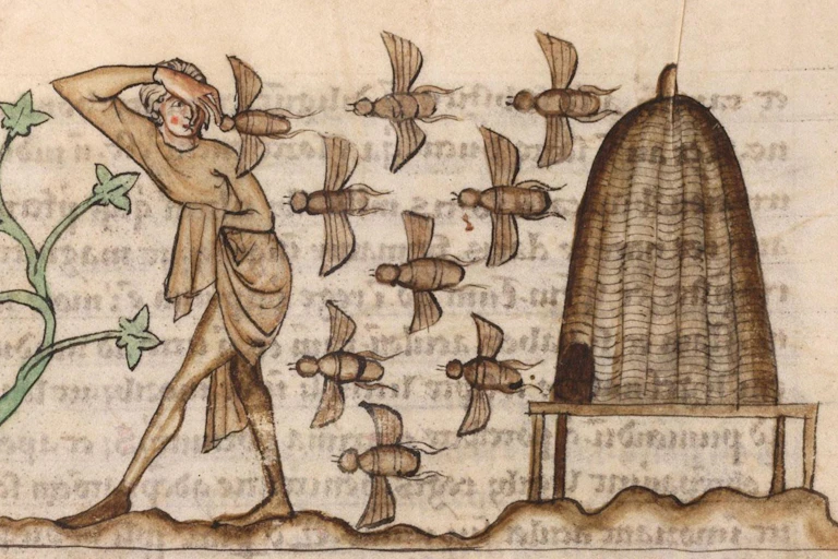 A medieval drawing of bees attacking a man