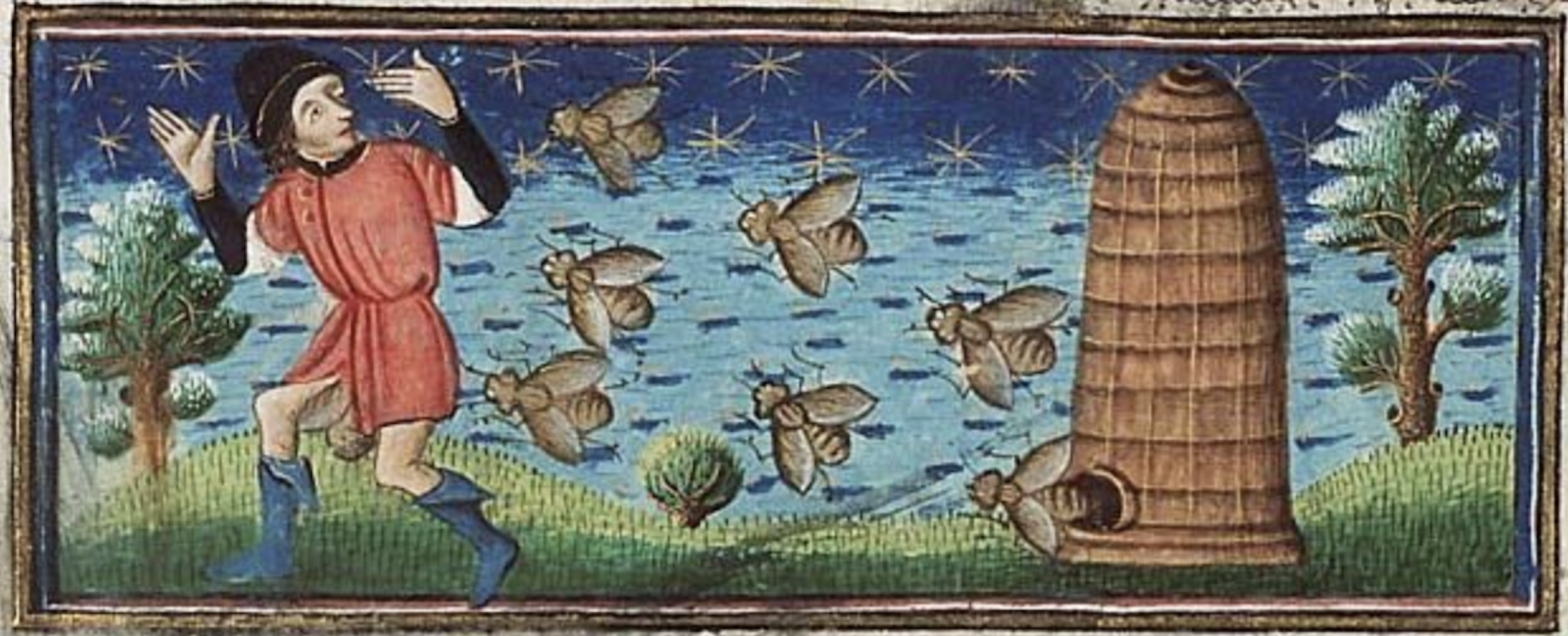 Medieval illustration of a man running from bees