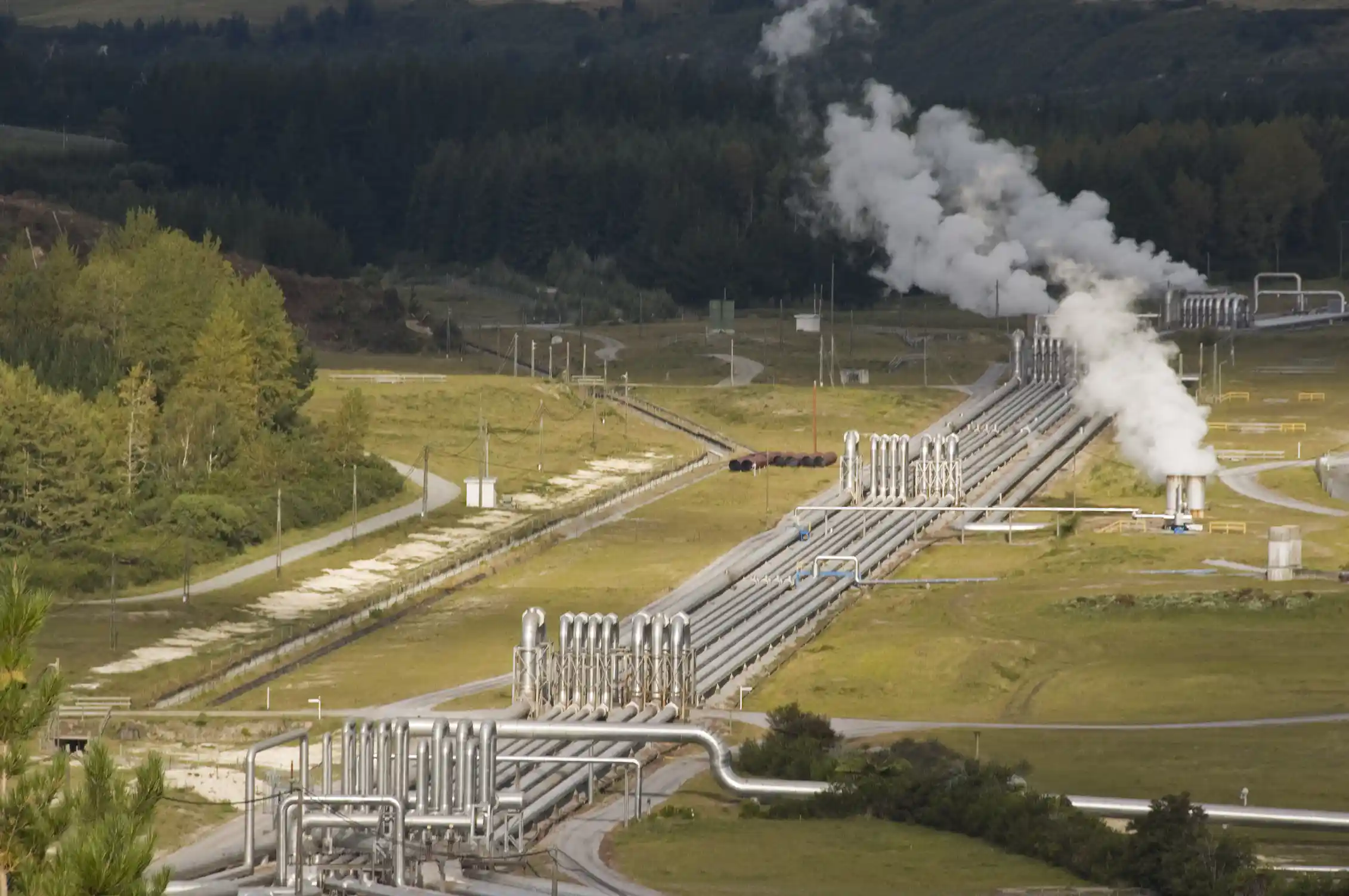geothermal plant in New Zealand, steam rising from set of pipes with green grass and trees behind.