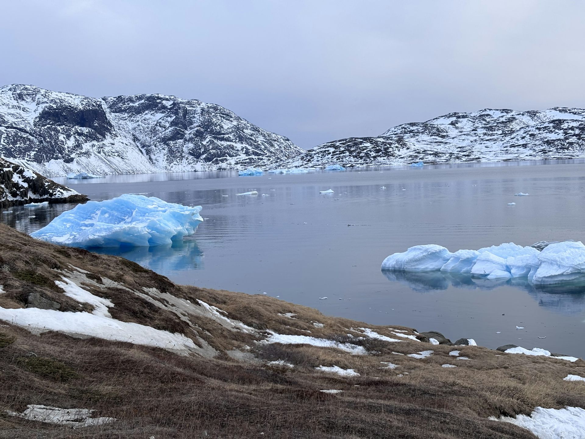 Icebergs floating by and snowed mountain tops along the Narsaq shoreline in South Greenland.