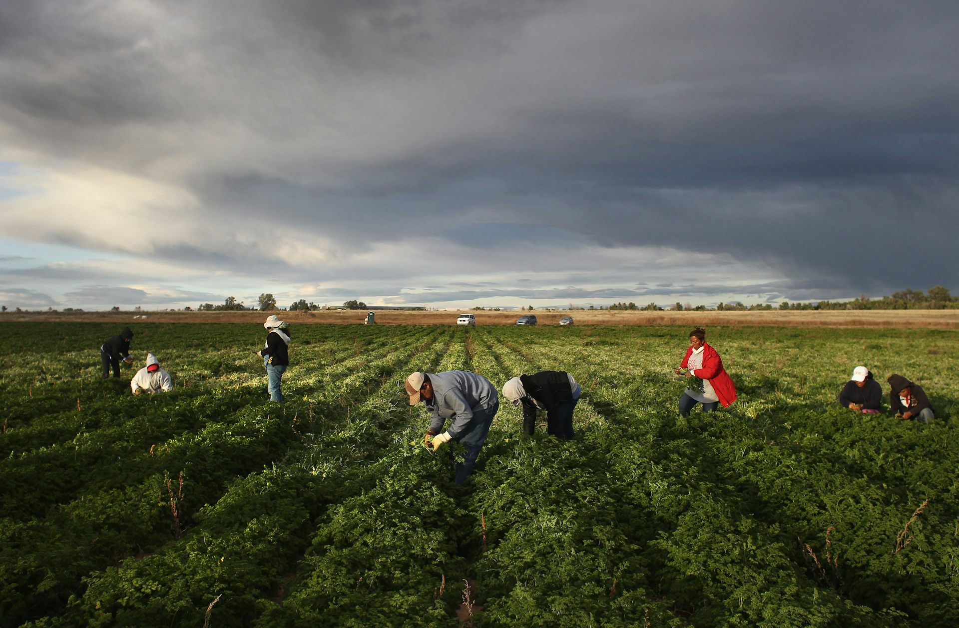 From the San Luis Valley to Vail, Latino labor powers every sector of Colorado’s economy