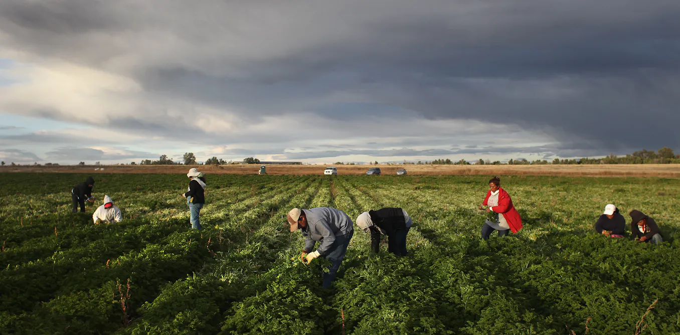 From the San Luis Valley to Vail, Latino labor powers every sector of Colorado’s economy