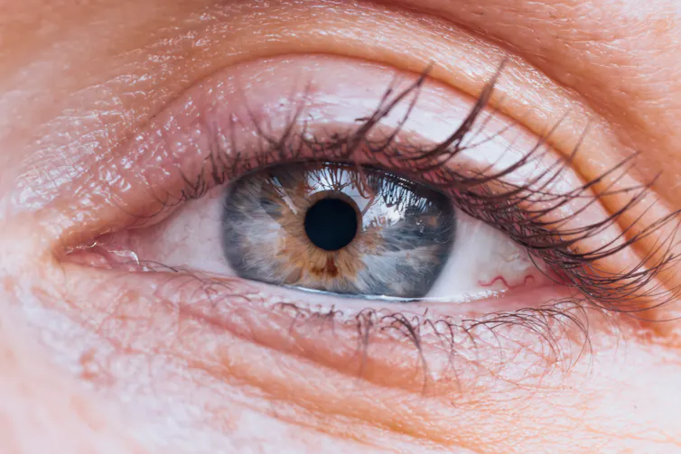 Primer plano de un ojo humano con una vista detallada del iris, la pupila y las pestañas.