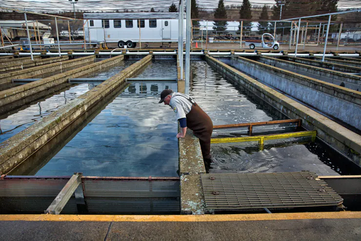 A man leans over a long pool, one of several in the image.