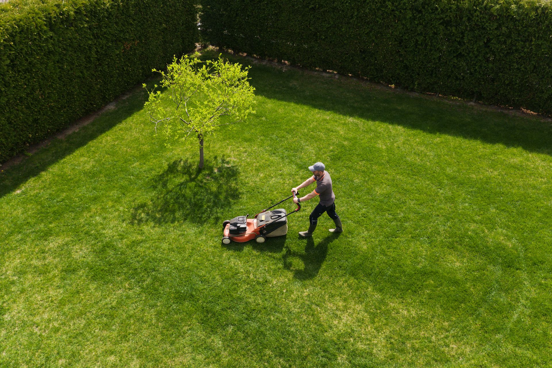 Mowing the lawn: the colonial ghosts haunting our suburban ritual