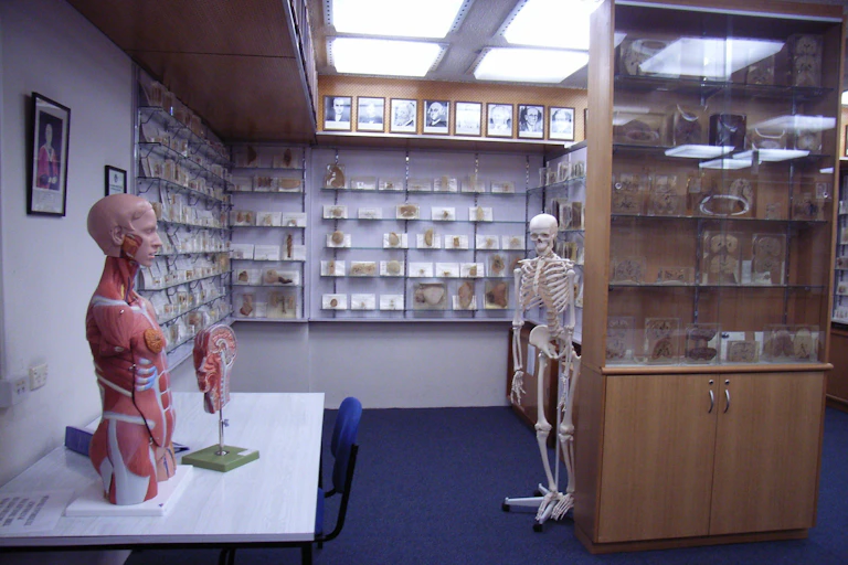 Interior of a museum.