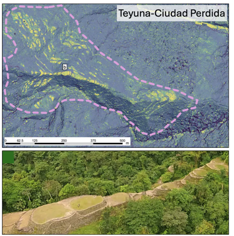 Above: lidar image of settlements at Teyuna-Ciudad Perdida in yellow; below: an actual shot of the platforms that housed the settlements.