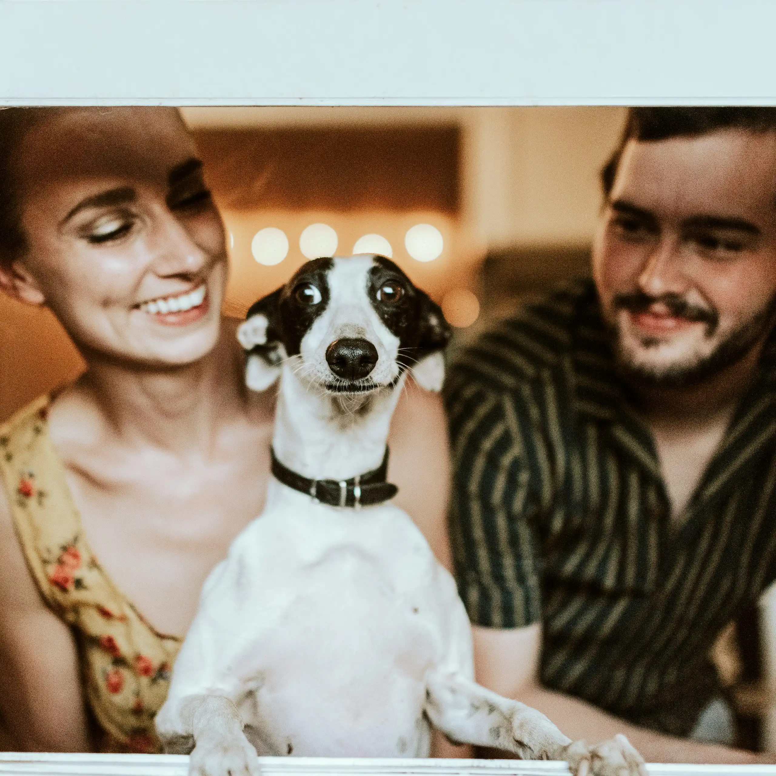 Portrait d'une jeune femme et d'un homme avec leur chien, posant à la fenêtre.