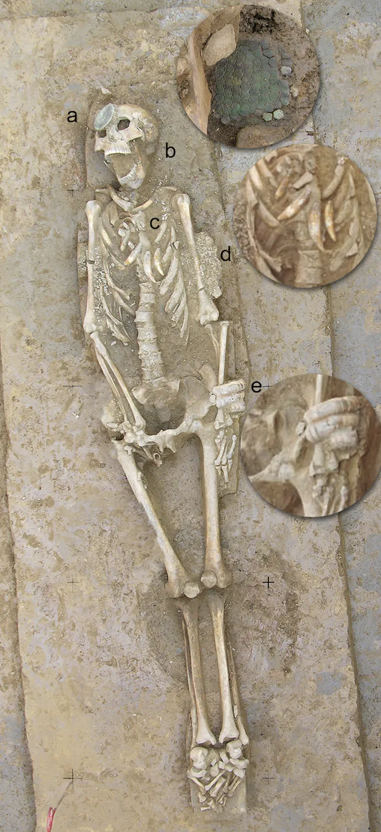 Male skeleton in Loma Salvatierra