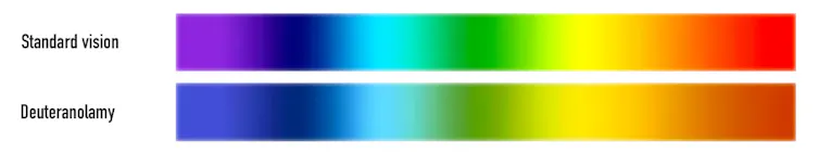 A diagram showing two color spectra, one labeled 'deuteranomalous eye' which has slightly duller versions of green and brown