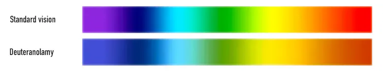A diagram showing two color spectra, one labeled 'deuteranomalous eye' which has slightly duller versions of green and brown