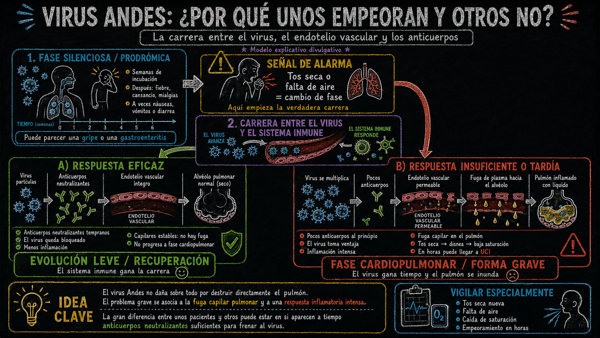 file 20260520 57 yx368o.png?ixlib=rb 4.1