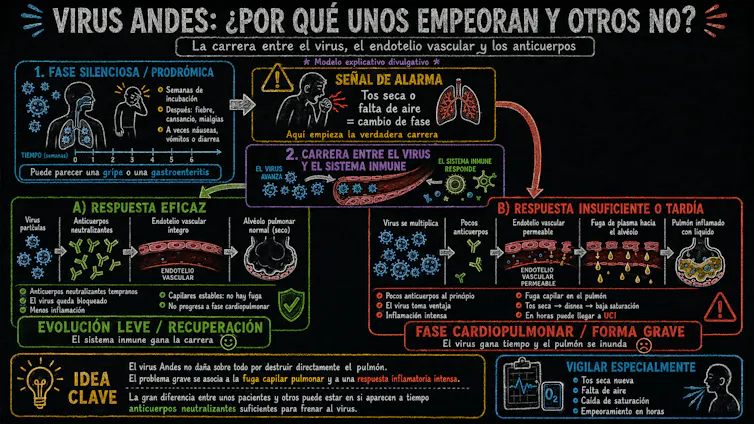 Doce días, 82 entrevistas y una lección: ciencia en vivo 1 file 20260520 57 yx368o.png?ixlib=rb 4.1