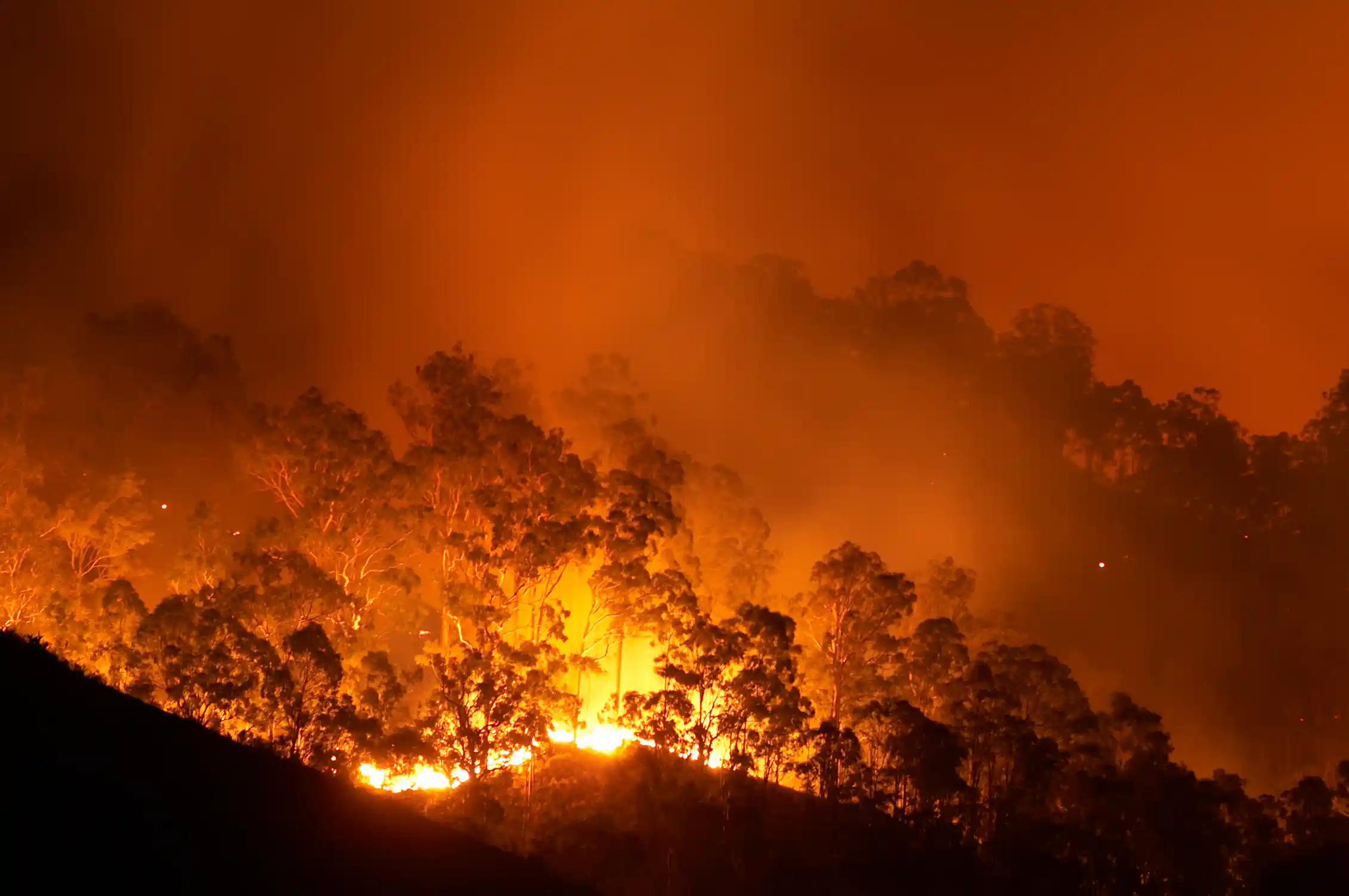 A bushfire at night.