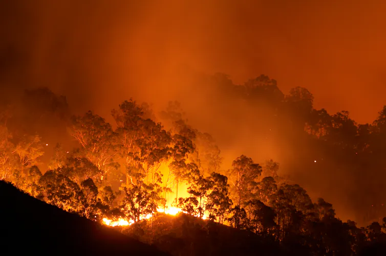 A bushfire at night.