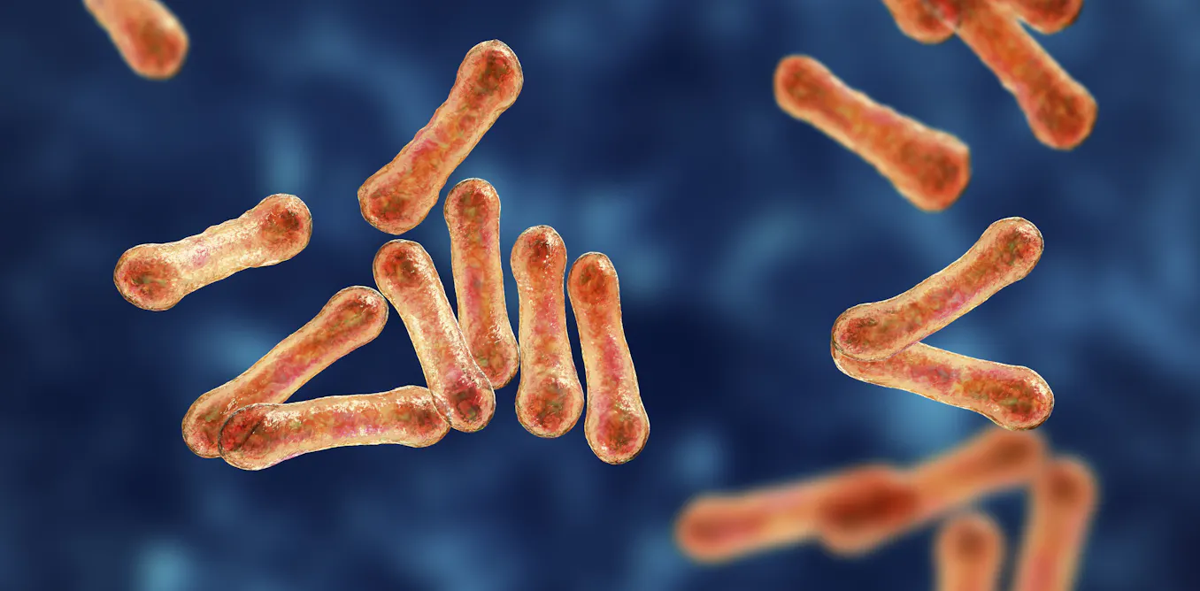 EduWireDaily — Australia is battling its worst diphtheria outbreak in decades. But vaccines could curb it