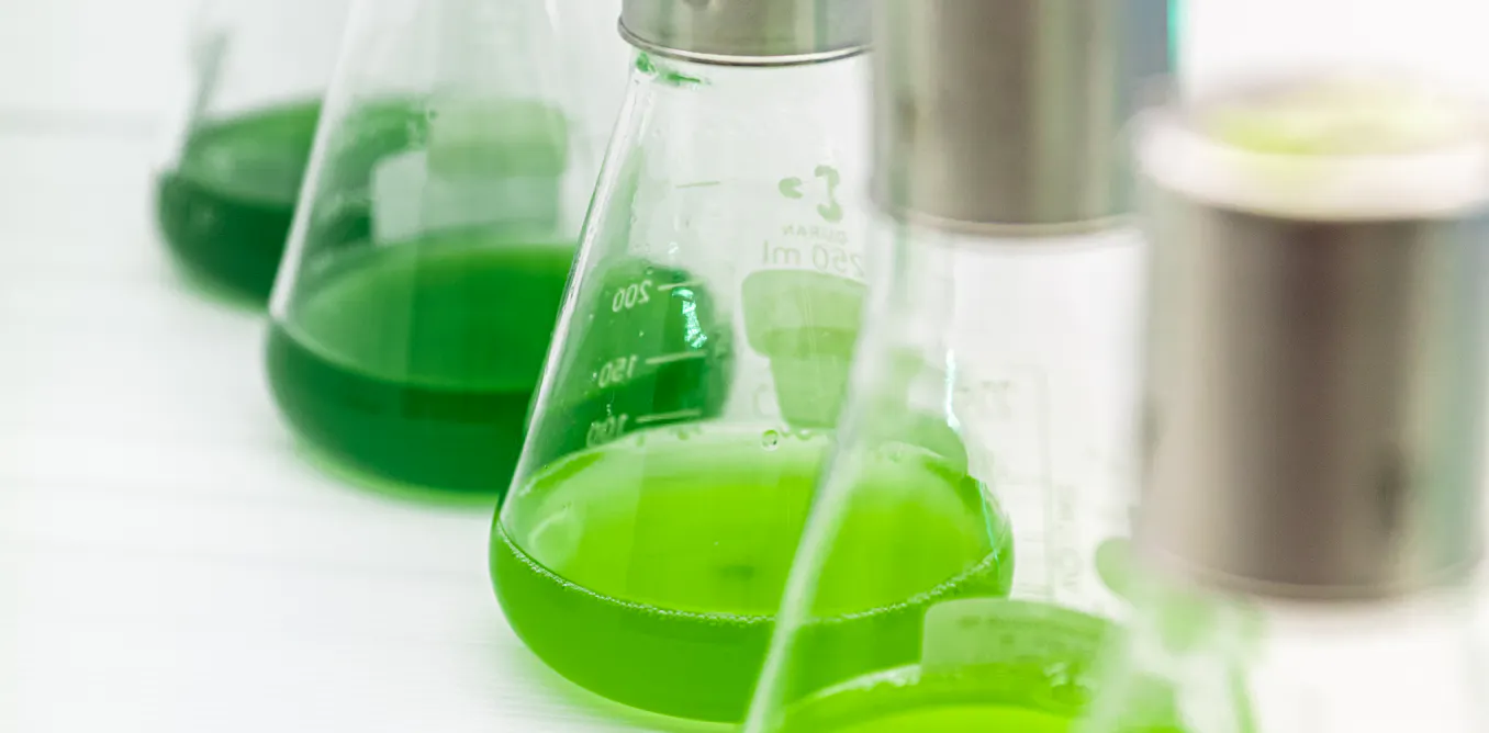 EduWireDaily — Many biofuels haven’t panned out. Could algae make the clean diesel and aviation fuel Australia needs?