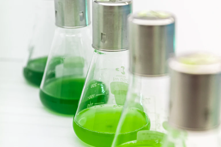 glass flasks with green liquid in them