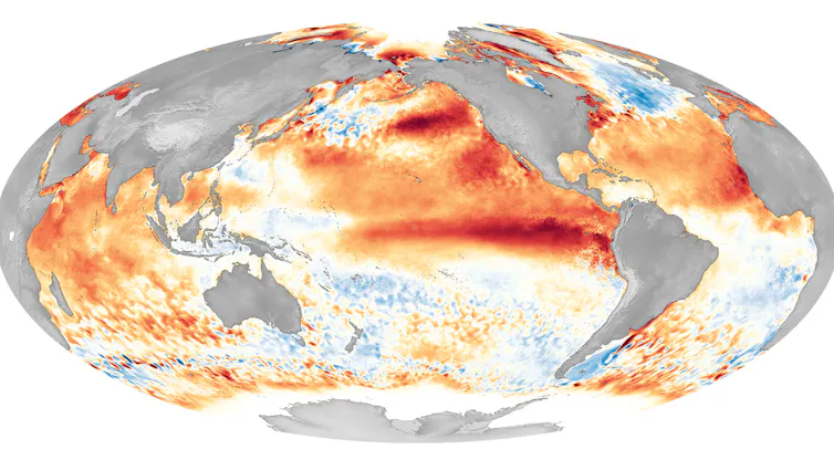 Un mapa global de 2016 que muestra las zonas de temperatura superficial del mar que son más altas (rojo) o más bajas (azul) de lo normal.