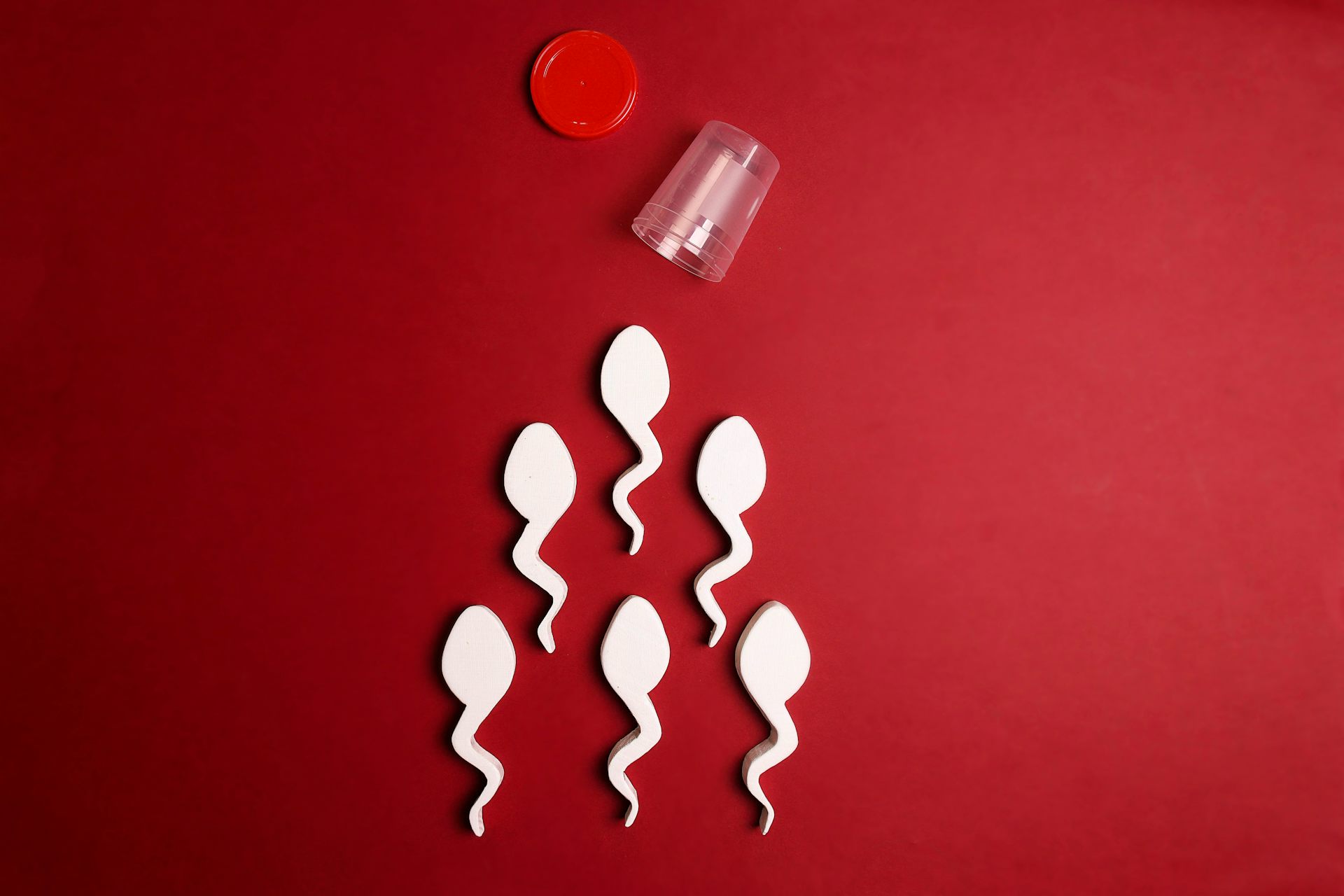 How Denmark became the sperm donation capital of the world