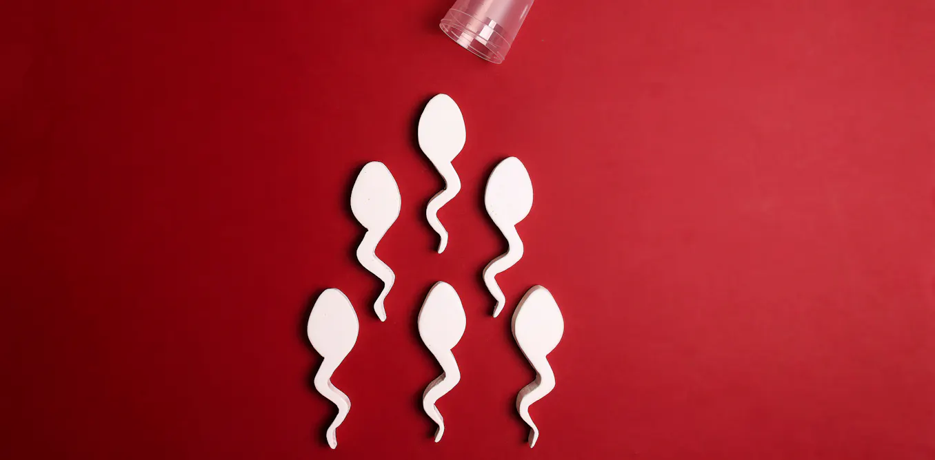 How Denmark became the sperm donation capital of the world