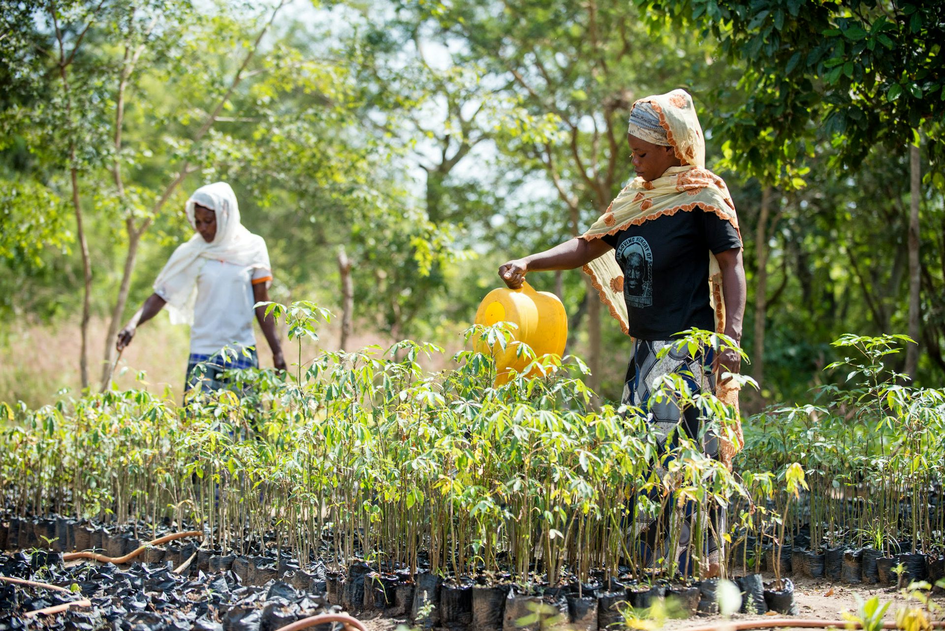 Community conservation in Ghana has evolved, but policy and funding need to catch up