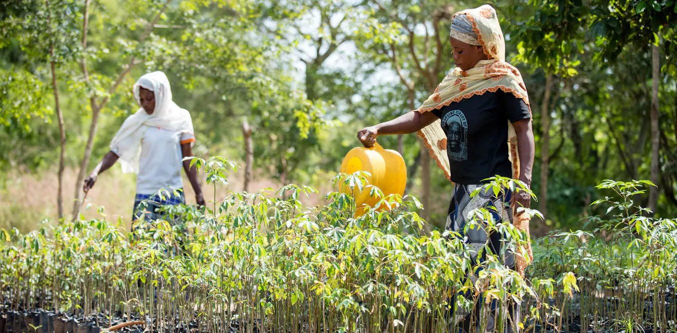 EnviroWireDaily — Community conservation in Ghana has evolved, but policy and funding need to catch up