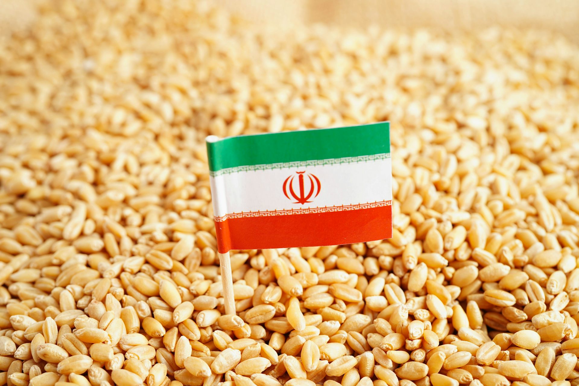 Drapeau iranien sur des graines