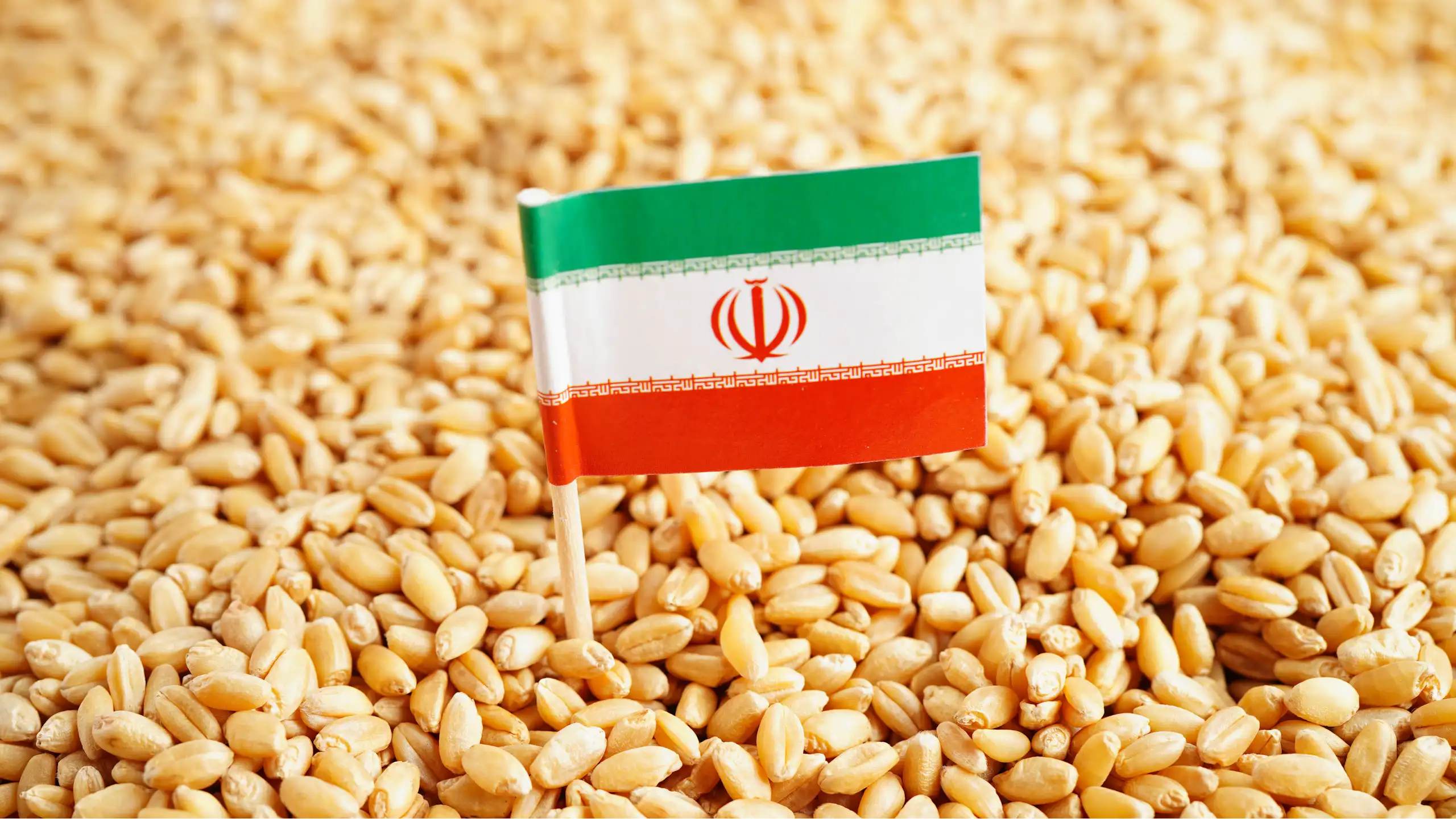 Drapeau iranien sur des graines