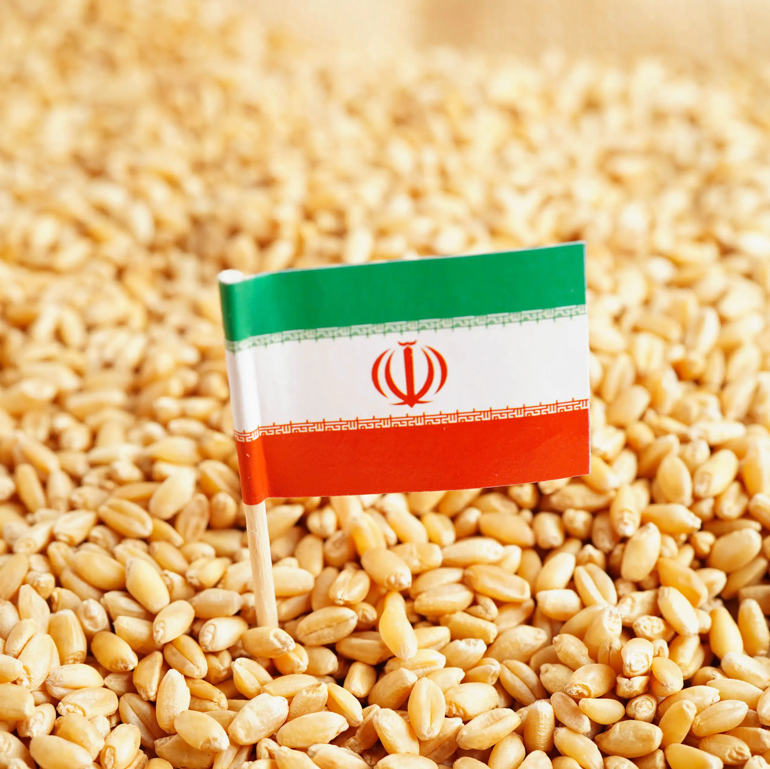 Drapeau iranien sur des graines