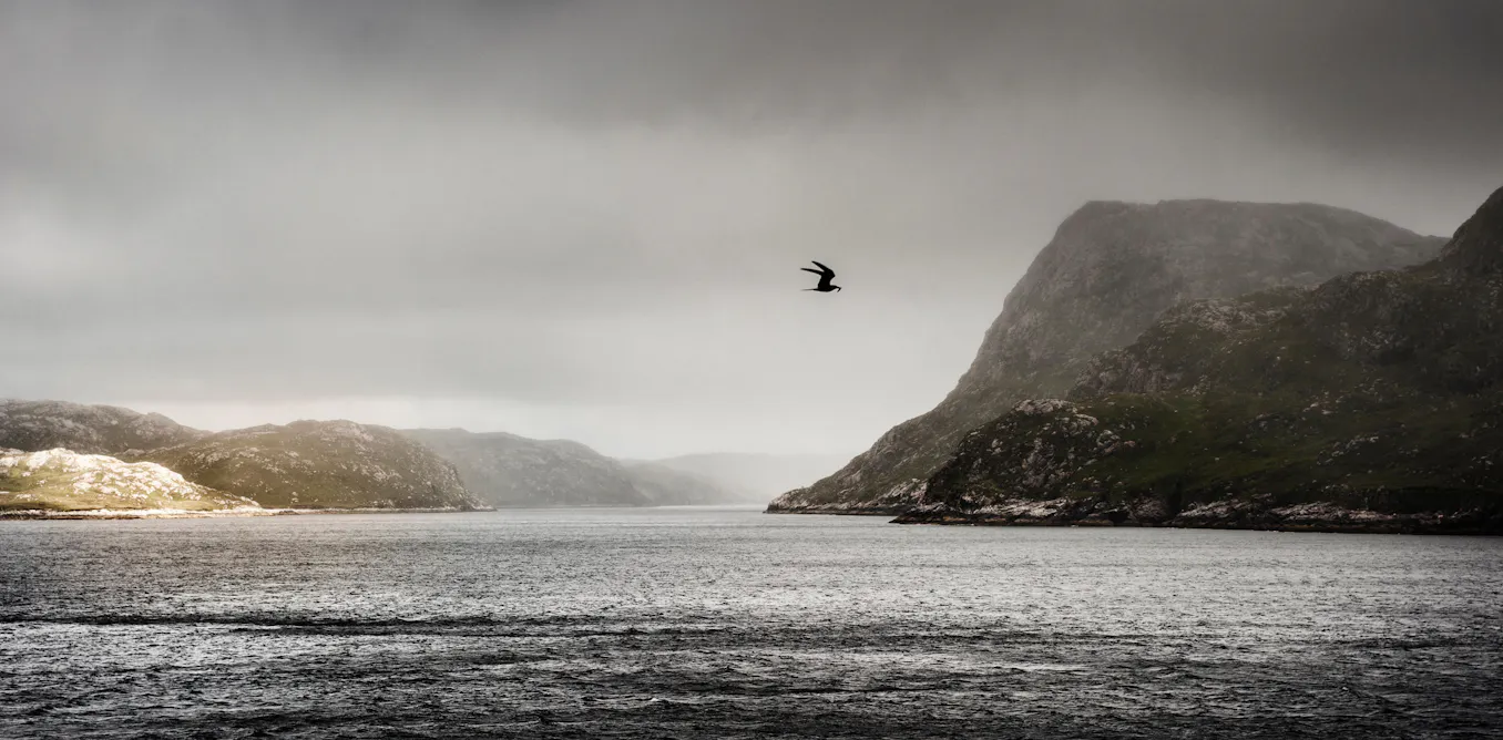 EduWireDaily — John of John: weaving an island tale of secrets that lie beneath repression and shame