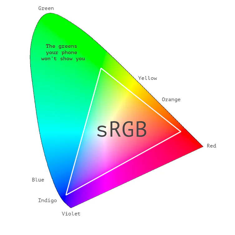 a diagram showing a horseshoe shape representing the colors human vision can see, with a circle inside it representing what a screen can show
