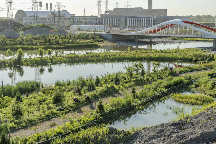 a green spaces with bodies of water, industrial buildings are seen in the background