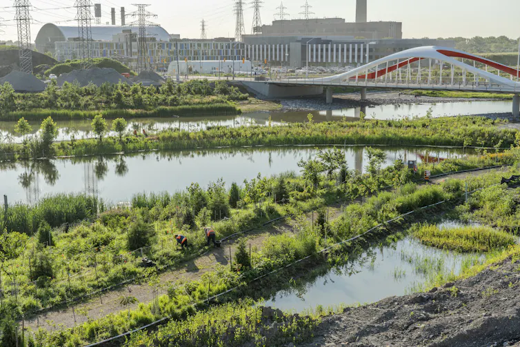 a green spaces with bodies of water, industrial buildings are seen in the background