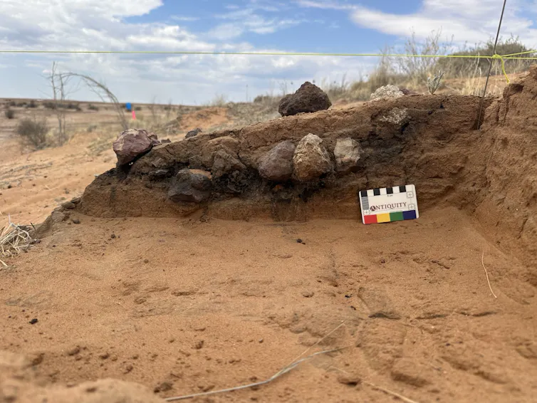 An excavated patch of dirt.