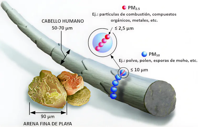 Comparativa del diámetro de las fracciones PM10 y PM2.5 con el tamaño de un pelo humano y un grano de arena