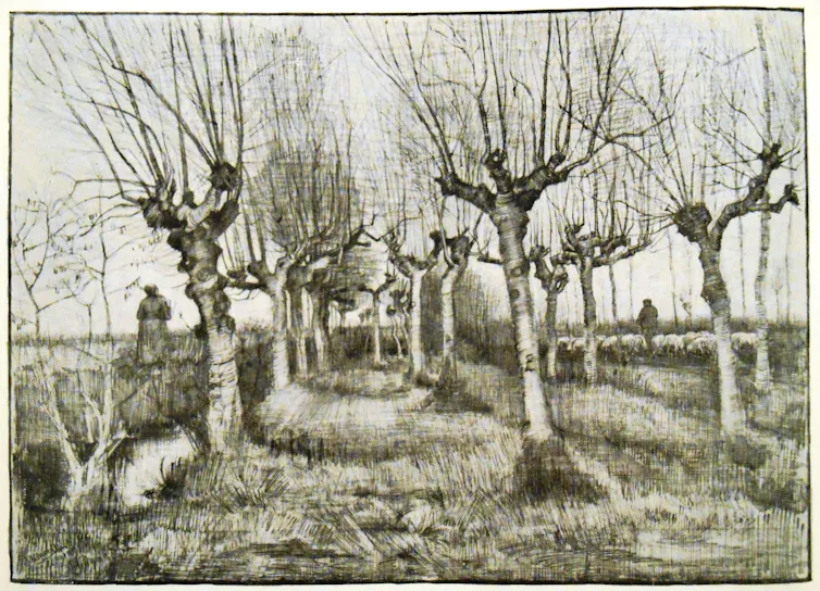 Trognes de bouleaux et bergers, par Vincent van Gogh (1885)