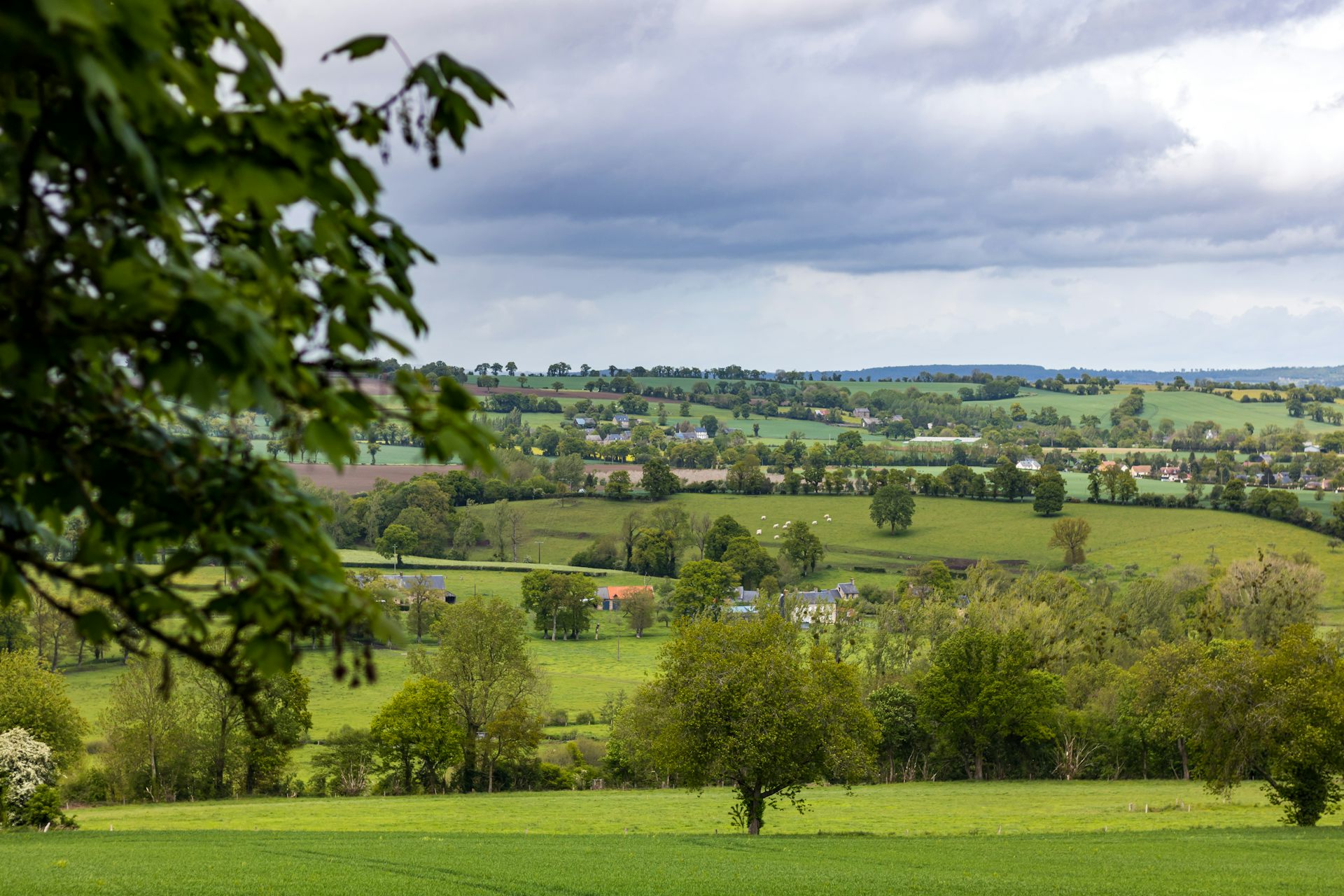 Paysage du Bocage norman à Cerisy-Belle-Etoile (Orne, Normandie)
