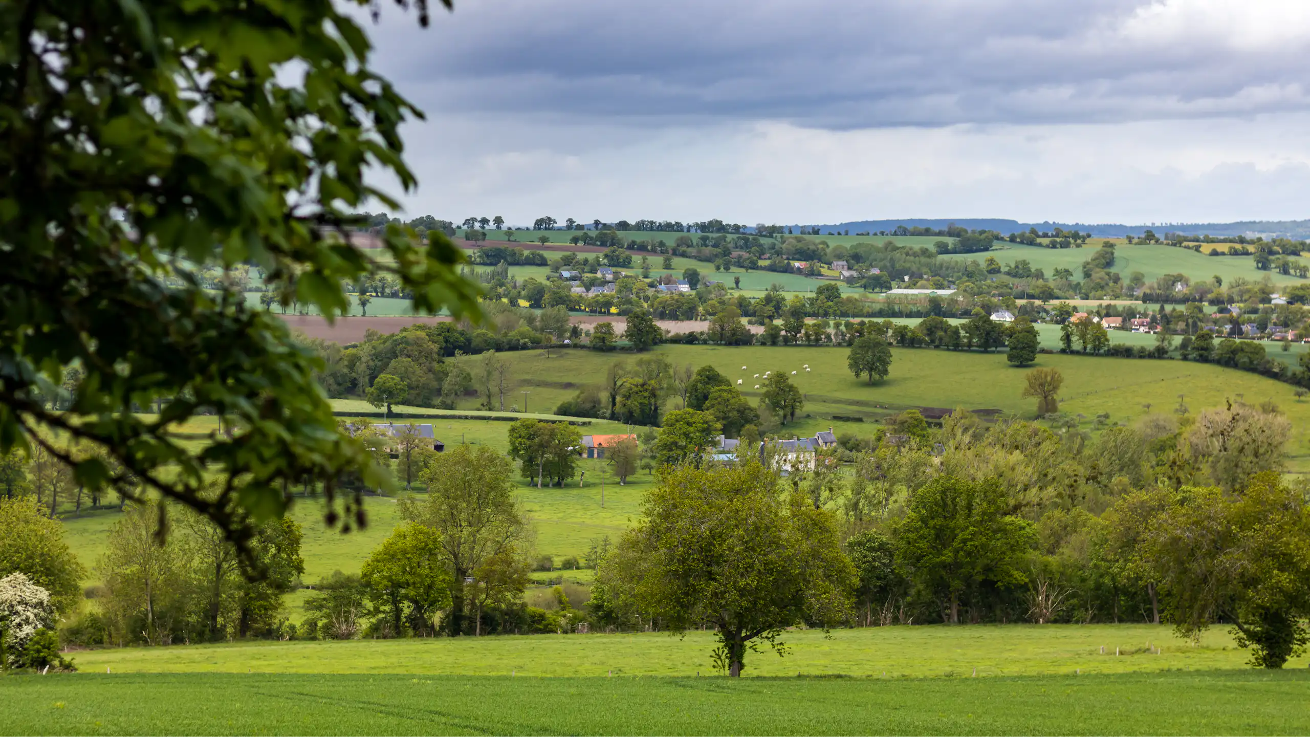 Paysage du Bocage norman à Cerisy-Belle-Etoile (Orne, Normandie)