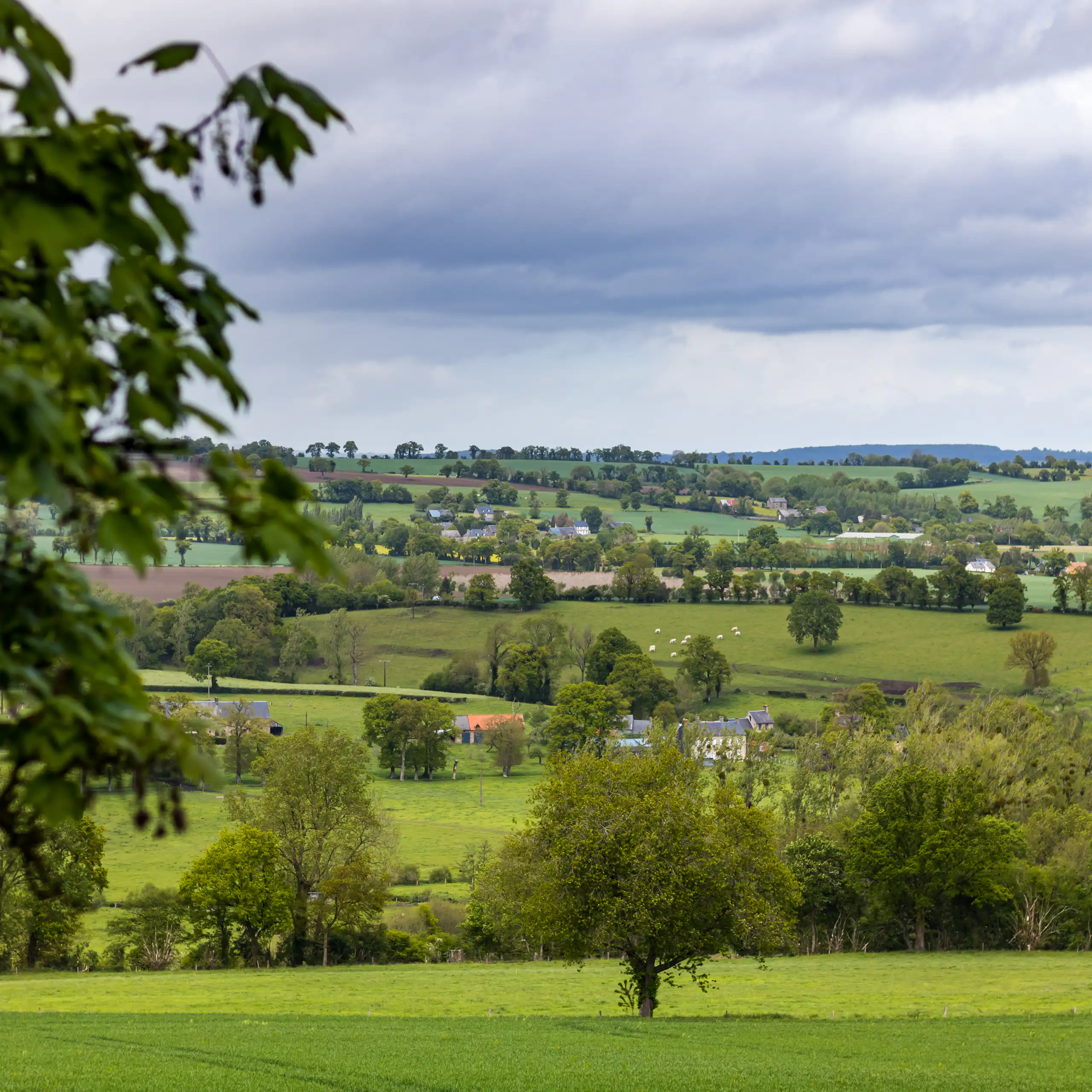Paysage du Bocage norman à Cerisy-Belle-Etoile (Orne, Normandie)