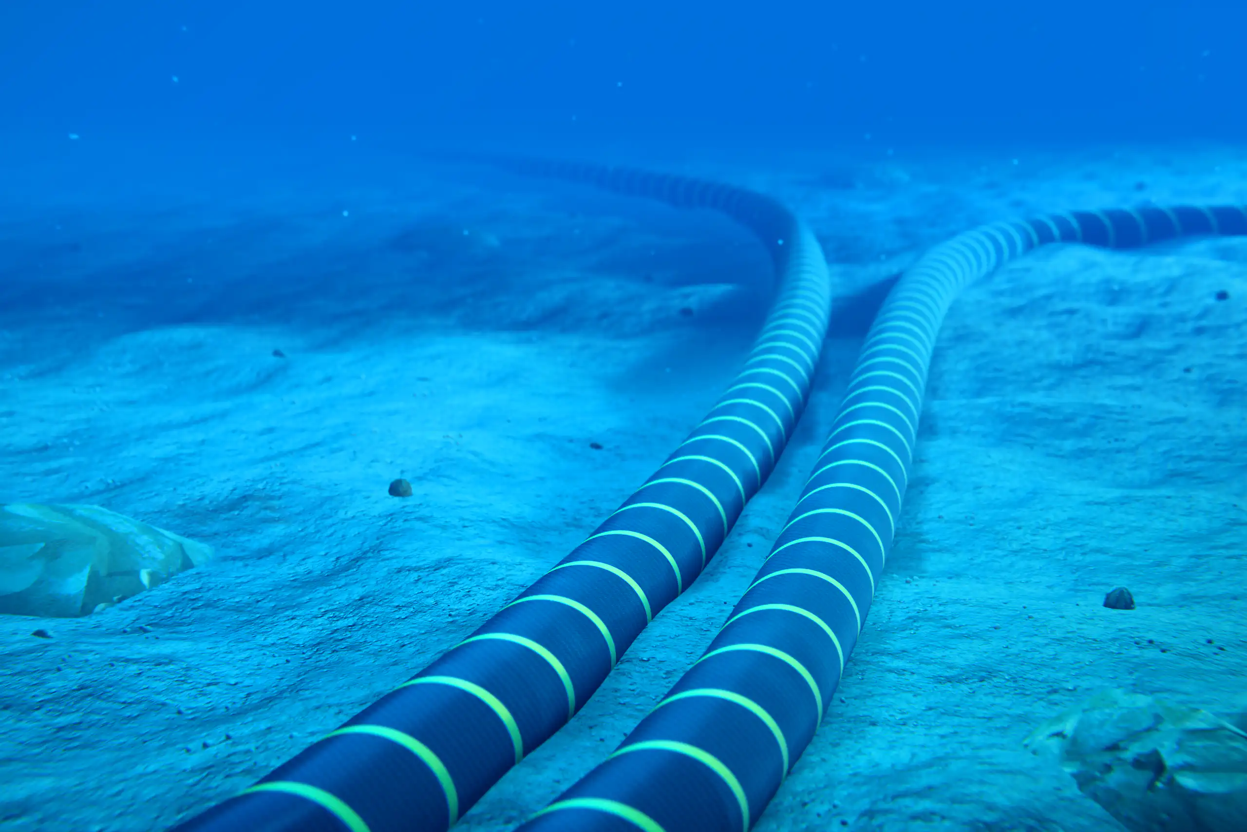 Dos gruesos cables bajo el agua