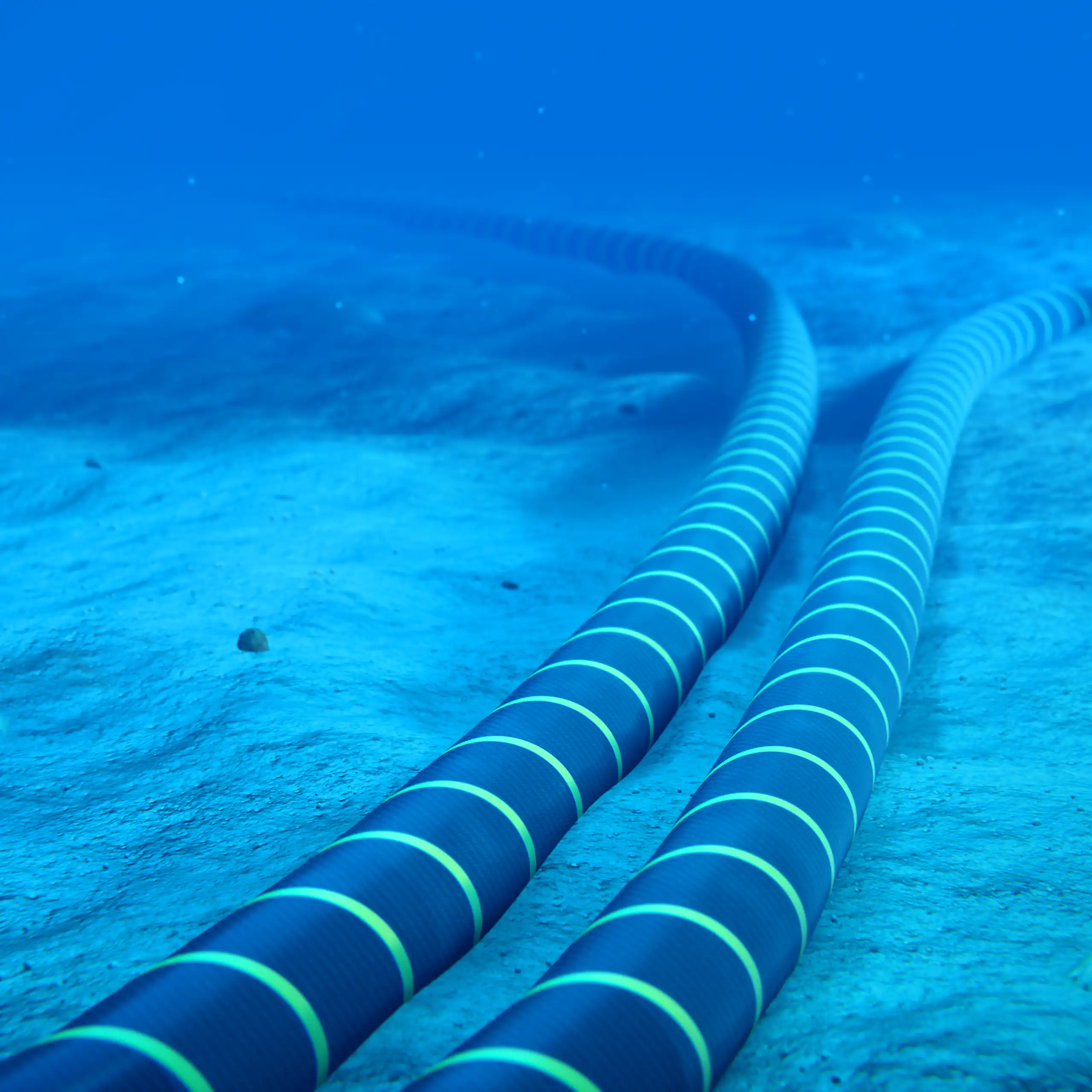 Dos gruesos cables bajo el agua