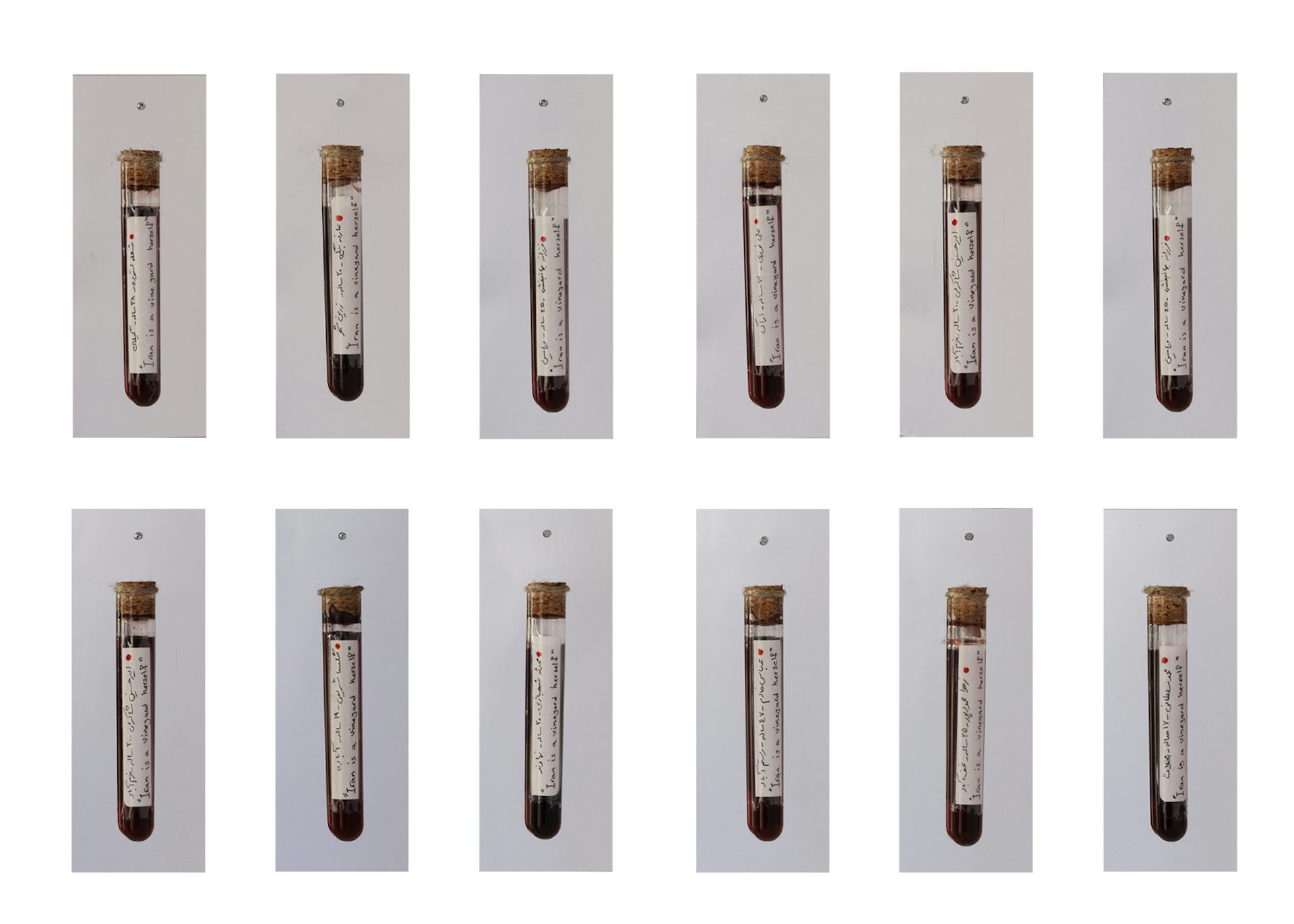 Photos of vials of liquid