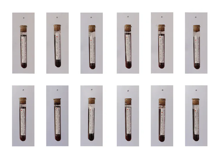 Photos of vials of liquid