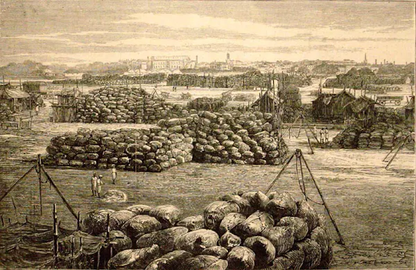 An engraving showing Bombay cotton yards in the 19th century.
